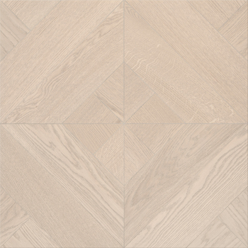 Альбатрос Шенонсо