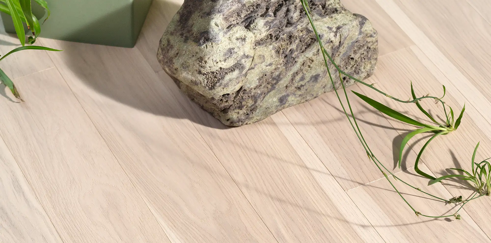 БЕЛОСНЕЖНЫЙ